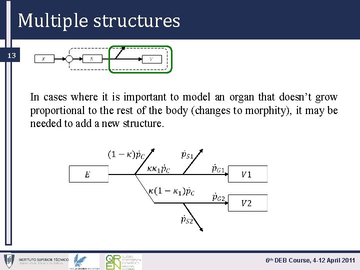 Multiple structures 13 In cases where it is important to model an organ that