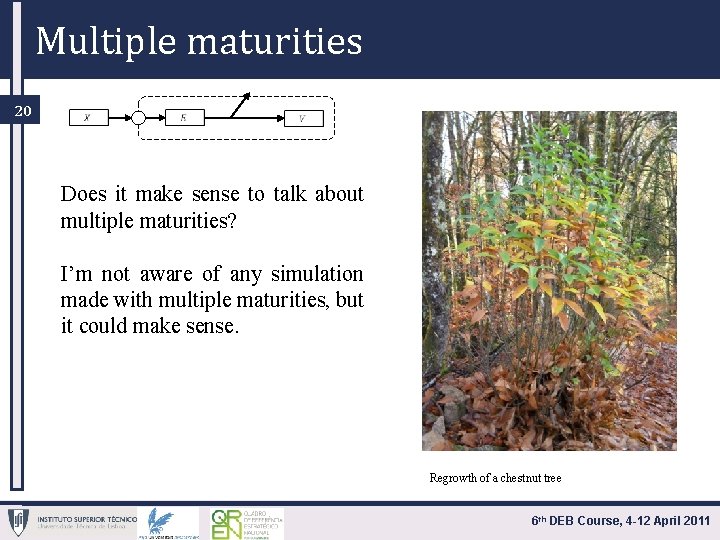 Multiple maturities 20 Does it make sense to talk about multiple maturities? I’m not