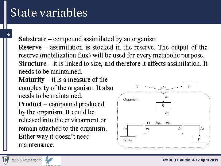 State variables 4 Substrate – compound assimilated by an organism Reserve – assimilation is