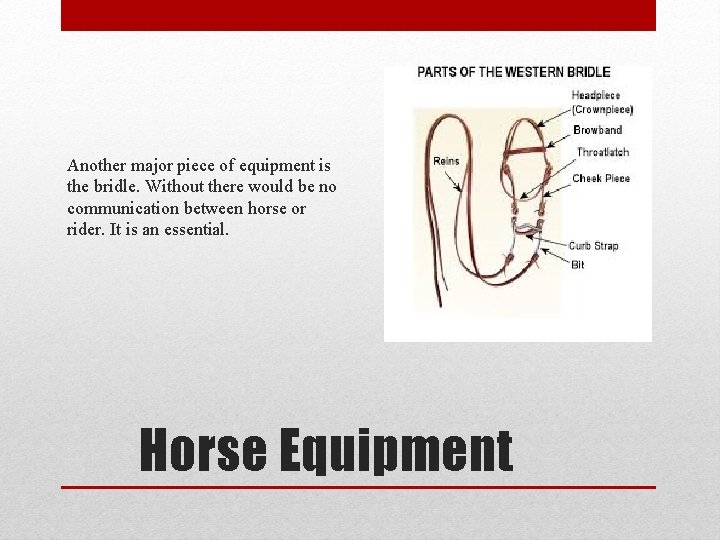 Another major piece of equipment is the bridle. Without there would be no communication