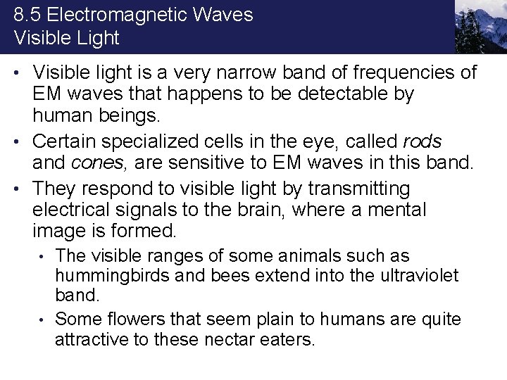 8. 5 Electromagnetic Waves Visible Light • Visible light is a very narrow band