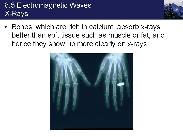 8. 5 Electromagnetic Waves X-Rays • Bones, which are rich in calcium, absorb x-rays