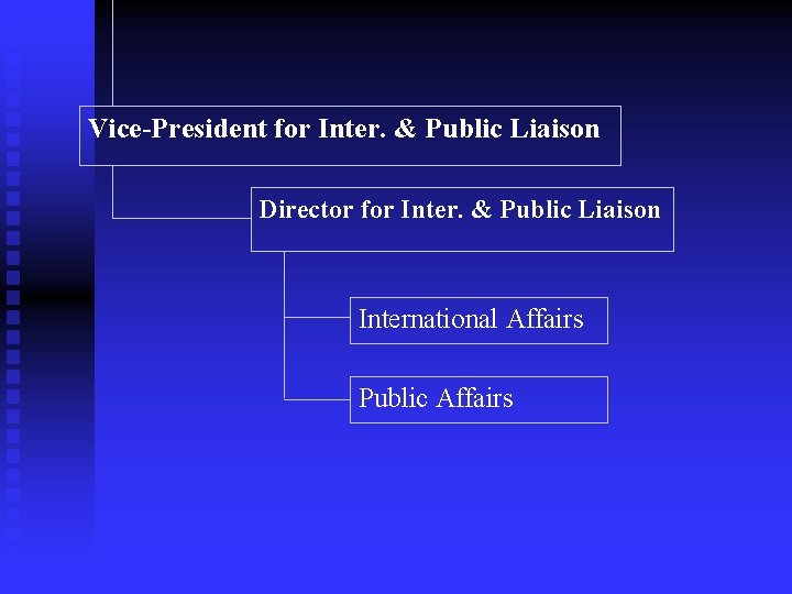 Vice-President for Inter. & Public Liaison Director for Inter. & Public Liaison International Affairs