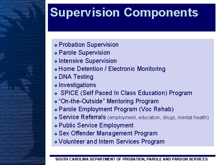 Supervision Components Probation Supervision Parole Supervision Intensive Supervision Home Detention / Electronic Monitoring DNA