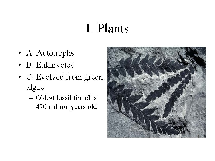 I. Plants • A. Autotrophs • B. Eukaryotes • C. Evolved from green algae