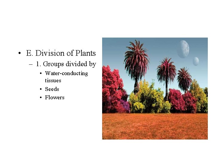  • E. Division of Plants – 1. Groups divided by • Water-conducting tissues