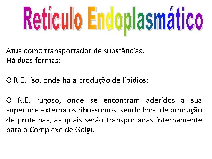 Atua como transportador de substâncias. Há duas formas: O R. E. liso, onde há