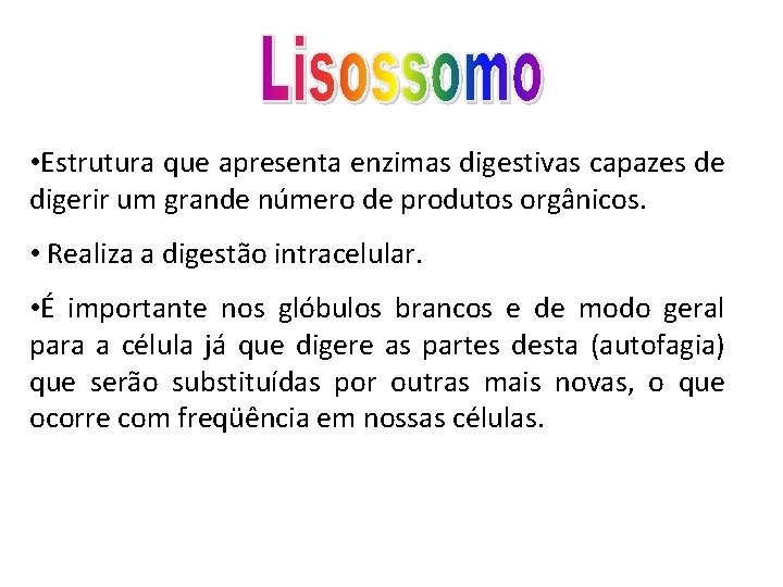  • Estrutura que apresenta enzimas digestivas capazes de digerir um grande número de