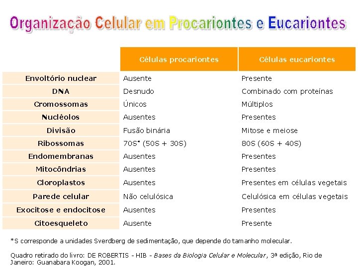  Células procariontes Células eucariontes Envoltório nuclear Ausente Presente DNA Desnudo Combinado com proteínas