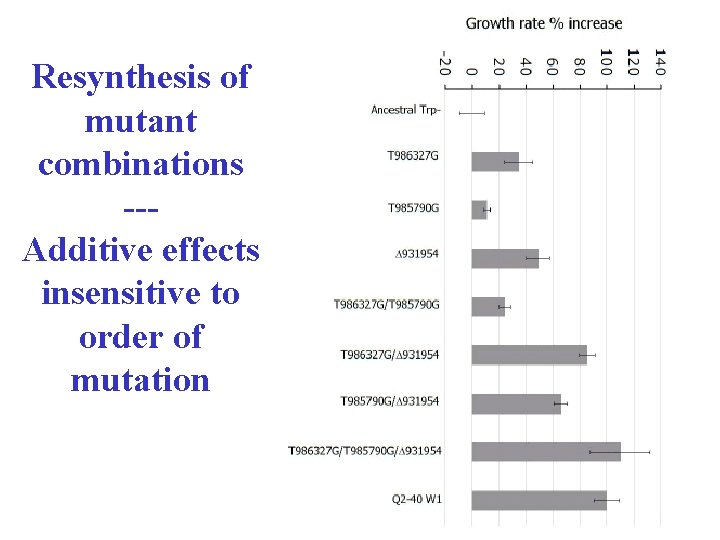 Resynthesis of mutant combinations --Additive effects insensitive to order of mutation 19 