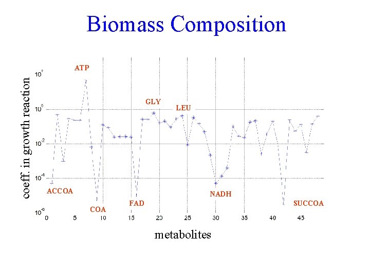 Biomass Composition coeff. in growth reaction ATP GLY ACCOA LEU NADH COA FAD SUCCOA