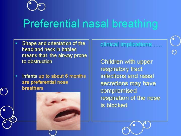 Preferential nasal breathing • Shape and orientation of the head and neck in babies