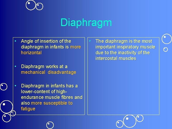 Diaphragm • Angle of insertion of the diaphragm in infants is more horizontal •
