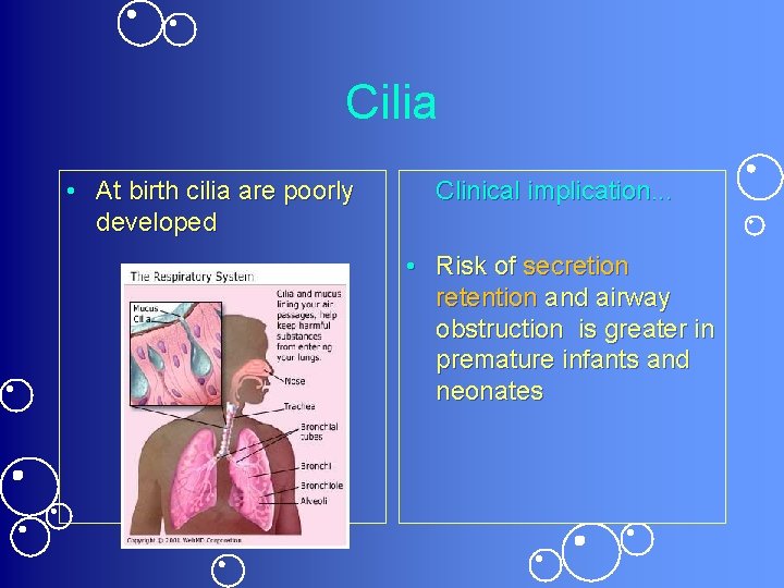 Cilia • At birth cilia are poorly developed Clinical implication. . . • Risk