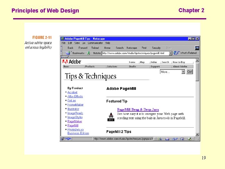 Principles of Web Design Chapter 2 19 