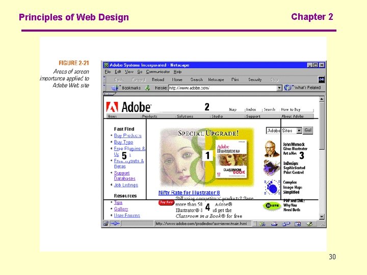 Principles of Web Design Chapter 2 30 