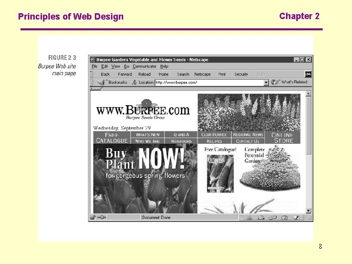 Principles of Web Design Chapter 2 8 