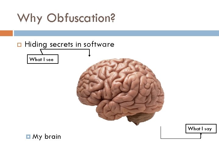 Why Obfuscation? Hiding secrets in software What I see What I say My brain