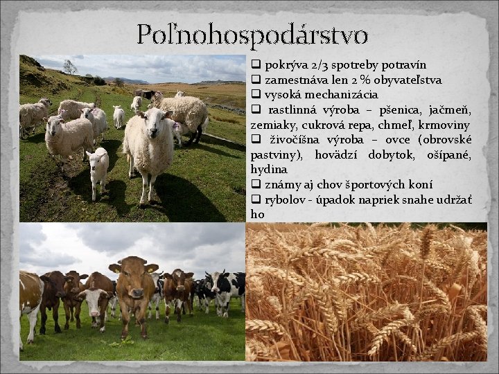 Poľnohospodárstvo q pokrýva 2/3 spotreby potravín q zamestnáva len 2 % obyvateľstva q vysoká Poľnohospodárstvo q pokrýva 2/3 spotreby potravín q zamestnáva len 2 % obyvateľstva q vysoká