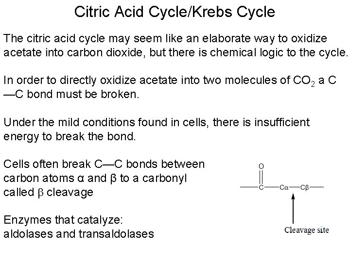 Citric Acid Cycle/Krebs Cycle The citric acid cycle may seem like an elaborate way