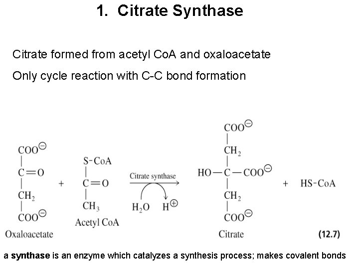 1. Citrate Synthase Citrate formed from acetyl Co. A and oxaloacetate Only cycle reaction