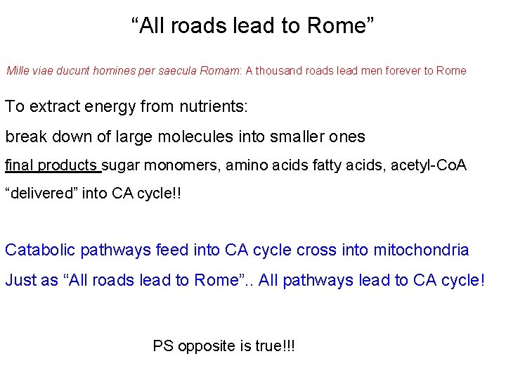 “All roads lead to Rome” Mille viae ducunt homines per saecula Romam: A thousand