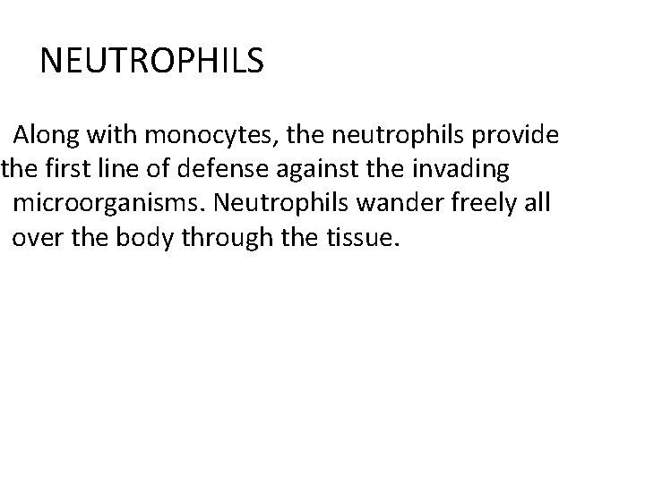 NEUTROPHILS Along with monocytes, the neutrophils provide the first line of defense against the