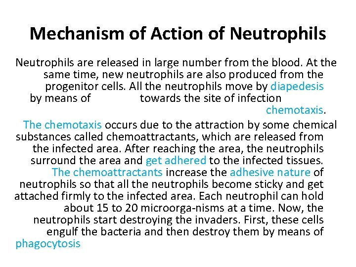 Mechanism of Action of Neutrophils are released in large number from the blood. At