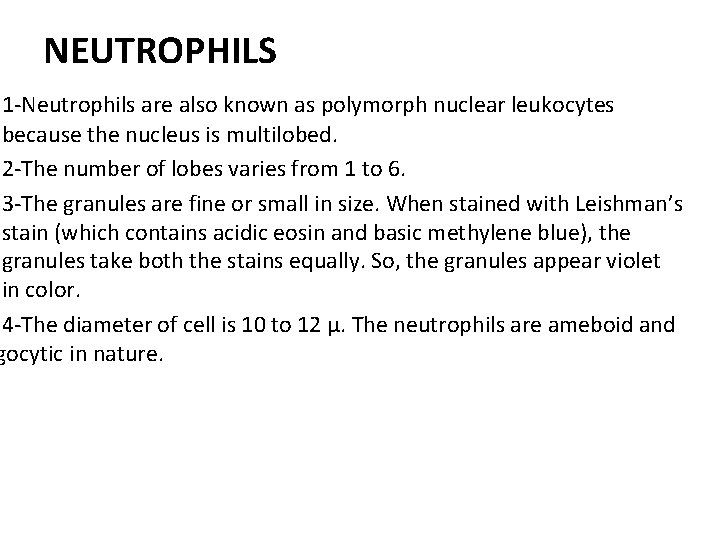 NEUTROPHILS 1 -Neutrophils are also known as polymorph nuclear leukocytes because the nucleus is