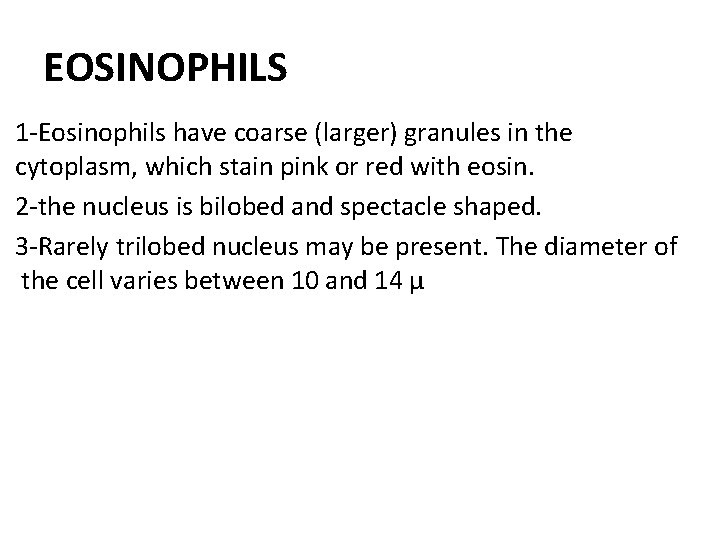 EOSINOPHILS 1 -Eosinophils have coarse (larger) granules in the cytoplasm, which stain pink or