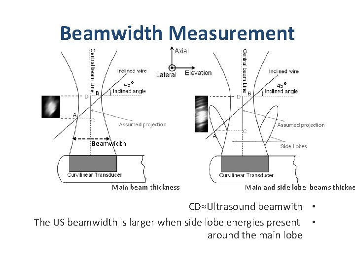 Beamwidth Measurement 45⁰ Beamwidth Main beam thickness Main and side lobe beams thickne CD≈Ultrasound