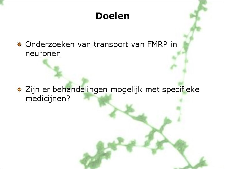 Doelen Onderzoeken van transport van FMRP in neuronen Zijn er behandelingen mogelijk met specifieke