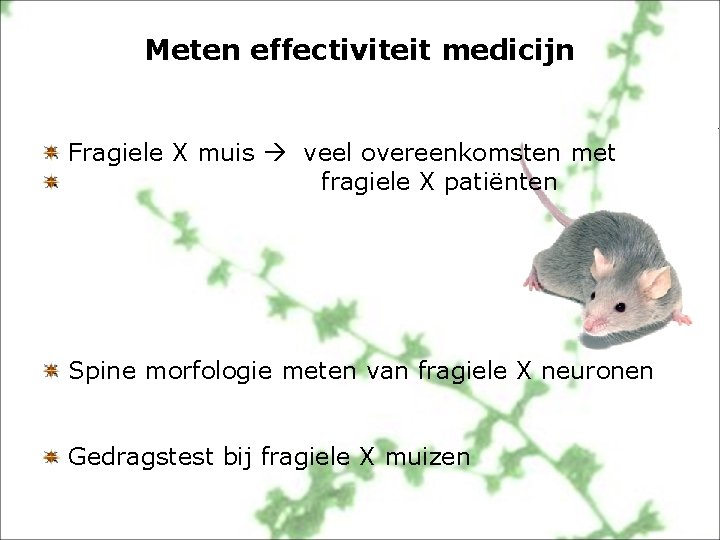 Meten effectiviteit medicijn Fragiele X muis veel overeenkomsten met fragiele X patiënten Spine morfologie