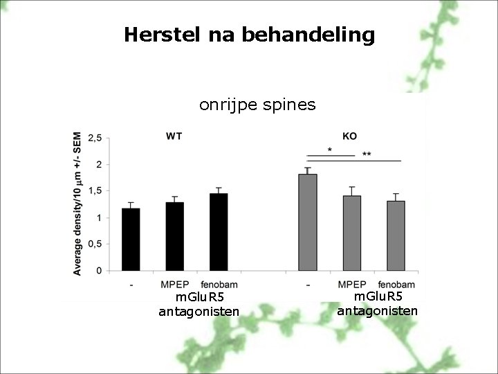 Herstel na behandeling onrijpe spines m. Glu. R 5 antagonisten 