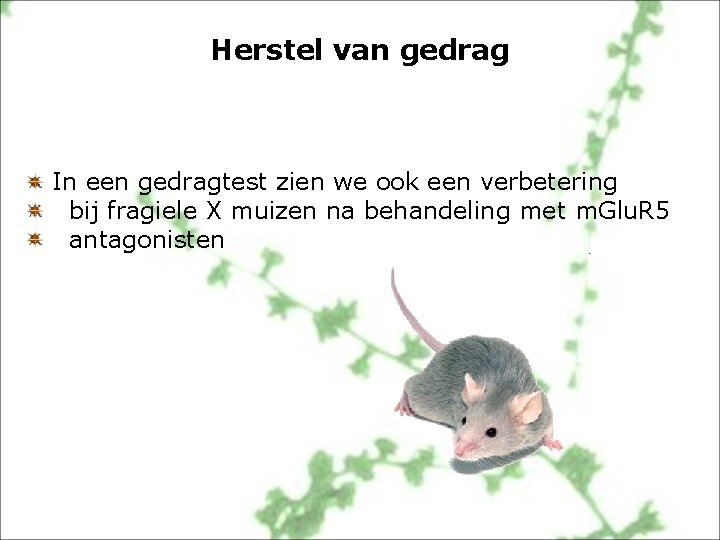 Herstel van gedrag In een gedragtest zien we ook een verbetering bij fragiele X