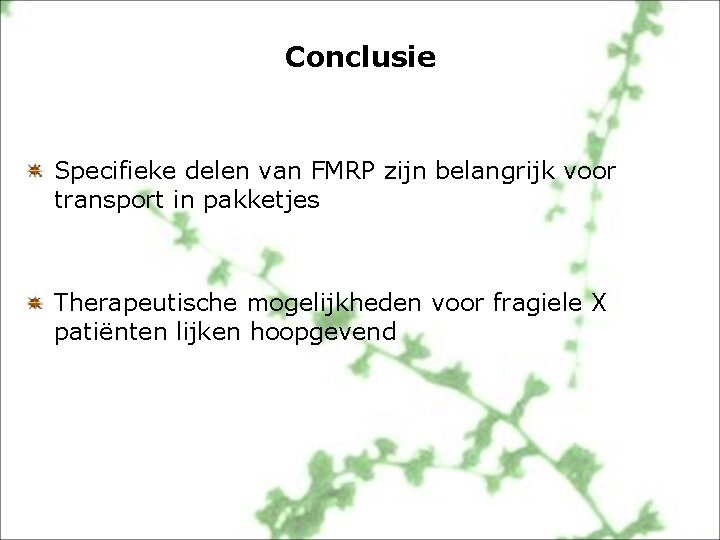 Conclusie Specifieke delen van FMRP zijn belangrijk voor transport in pakketjes Therapeutische mogelijkheden voor