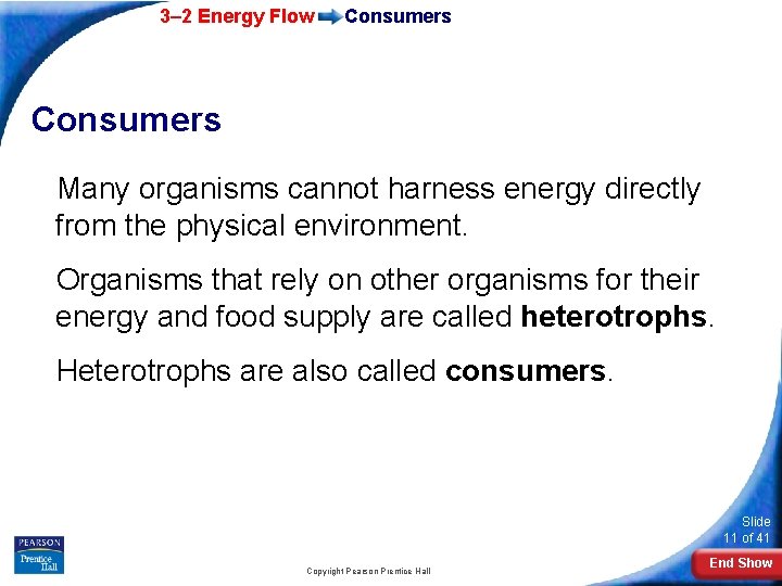 3– 2 Energy Flow Consumers Many organisms cannot harness energy directly from the physical