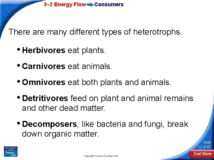 3– 2 Energy Flow Consumers There are many different types of heterotrophs. • Herbivores