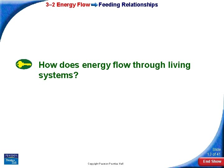 3– 2 Energy Flow Feeding Relationships How does energy flow through living systems? Slide