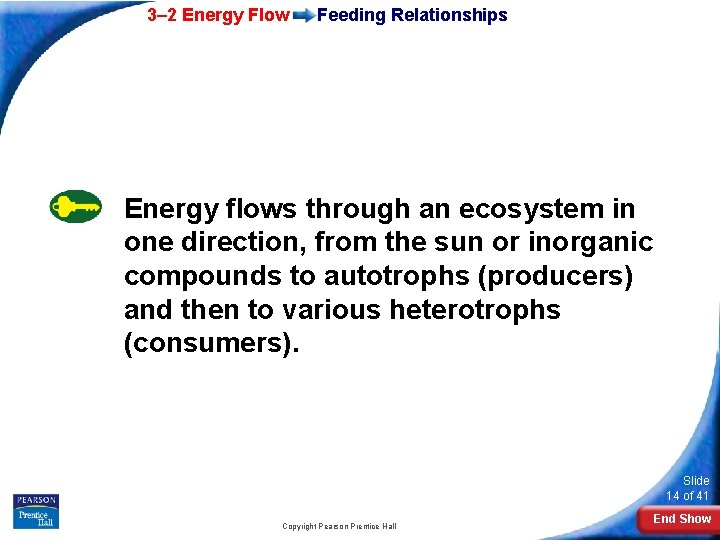 3– 2 Energy Flow Feeding Relationships Energy flows through an ecosystem in one direction,