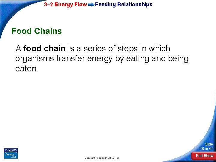 3– 2 Energy Flow Feeding Relationships Food Chains A food chain is a series