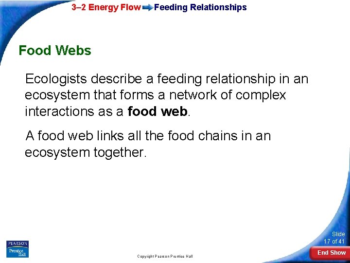 3– 2 Energy Flow Feeding Relationships Food Webs Ecologists describe a feeding relationship in
