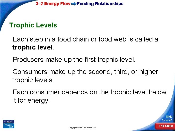 3– 2 Energy Flow Feeding Relationships Trophic Levels Each step in a food chain