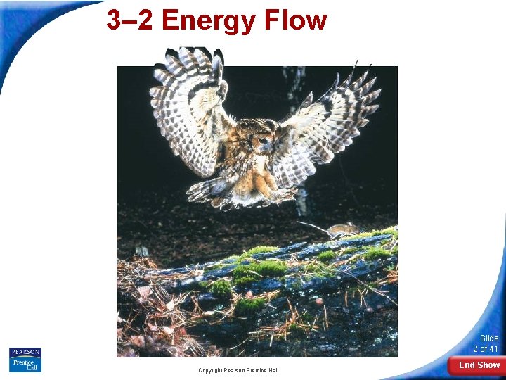 3– 2 Energy Flow Slide 2 of 41 Copyright Pearson Prentice Hall End Show