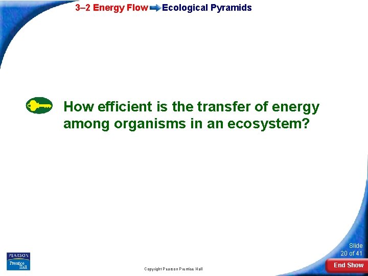 3– 2 Energy Flow Ecological Pyramids How efficient is the transfer of energy among