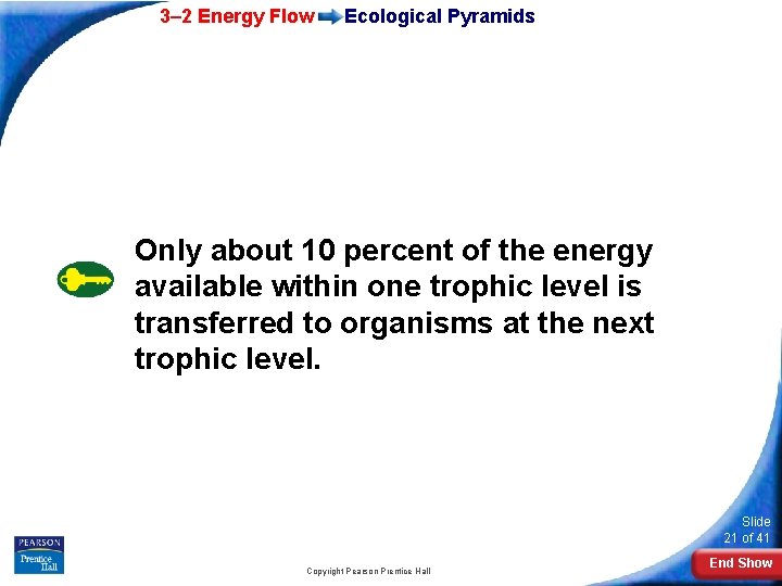 3– 2 Energy Flow Ecological Pyramids Only about 10 percent of the energy available