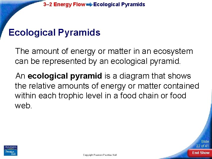 3– 2 Energy Flow Ecological Pyramids The amount of energy or matter in an