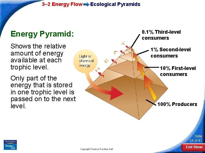 3– 2 Energy Flow Ecological Pyramids 0. 1% Third-level consumers Energy Pyramid: Shows the