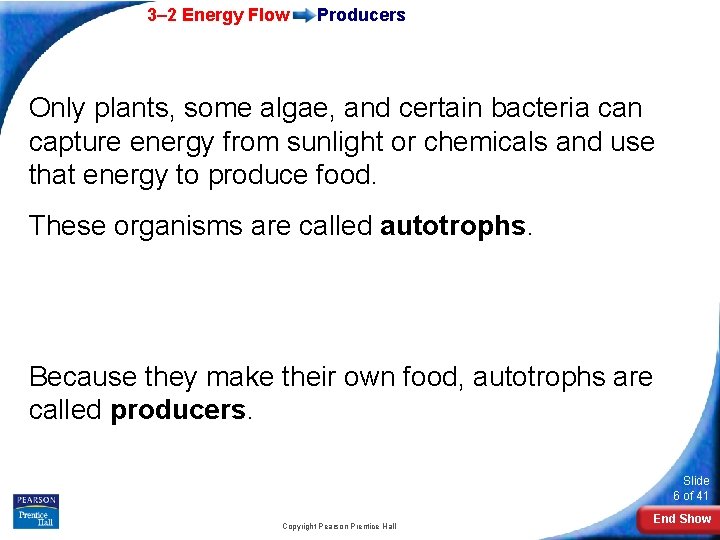 3– 2 Energy Flow Producers Only plants, some algae, and certain bacteria can capture