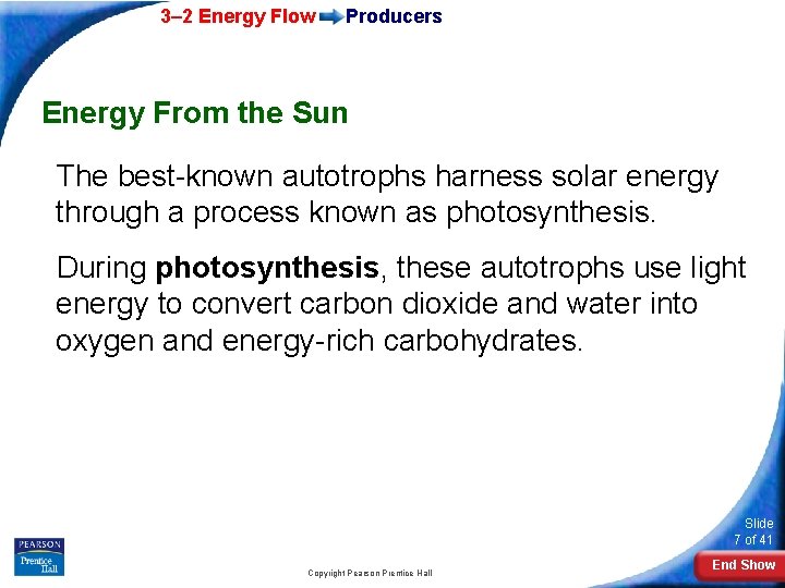 3– 2 Energy Flow Producers Energy From the Sun The best-known autotrophs harness solar